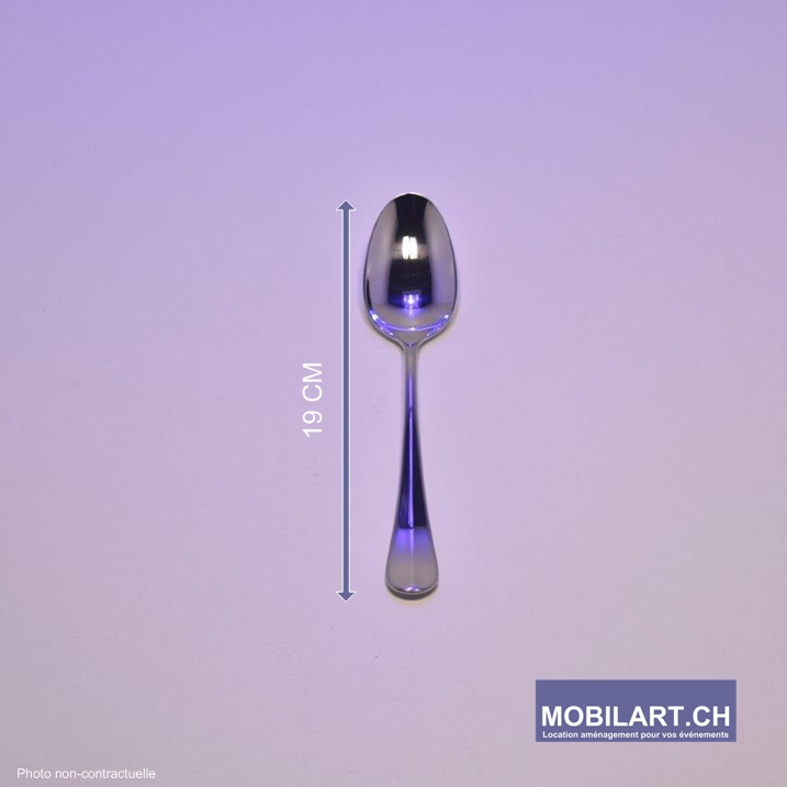 Mobilart - Location - Art de la table - Cuilliere entremet 1